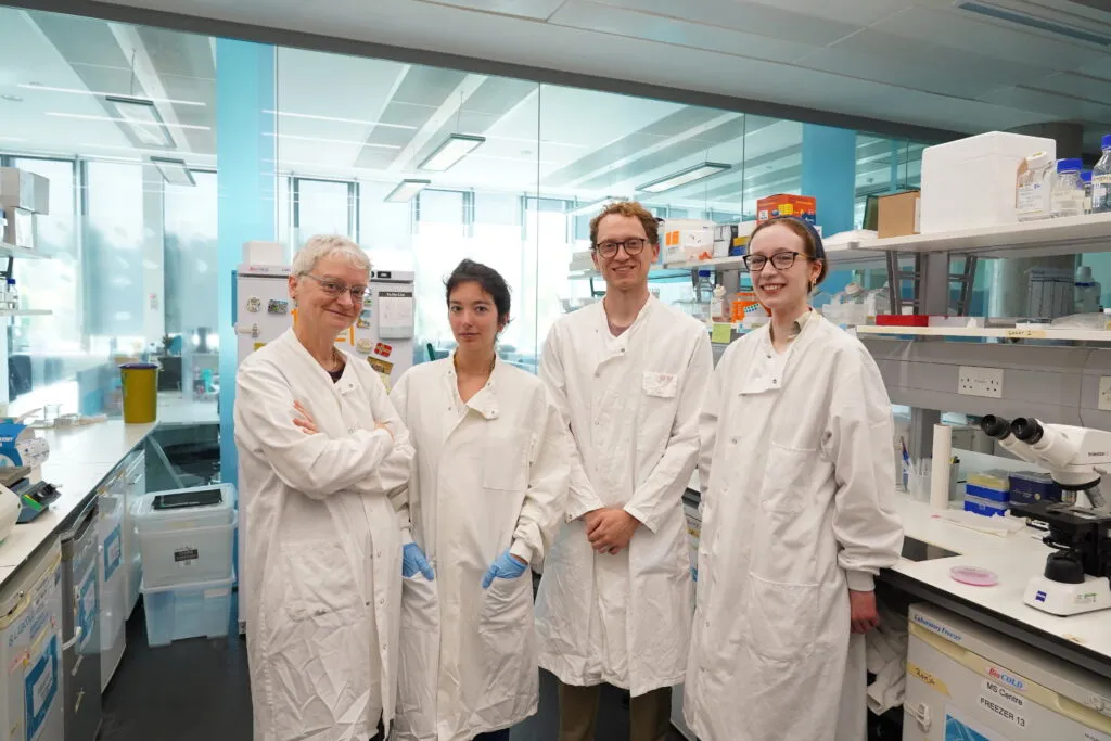 Tiny fish may lead to MS breakthroughs — but Brexit red tape is slowing progress