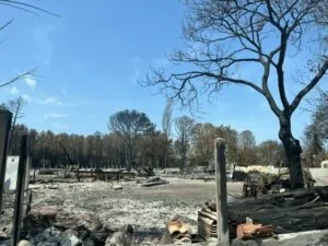 "Avenue of Desolation": in the Ruins of the Gironde Fire