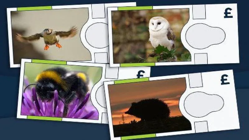 Hedgehog and Bumblebee to Appear on New British Banknotes — a Curious Choice
