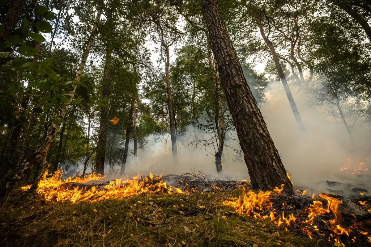 Poorly prepared? On the contrary — the Netherlands is making solid progress in wildfire control