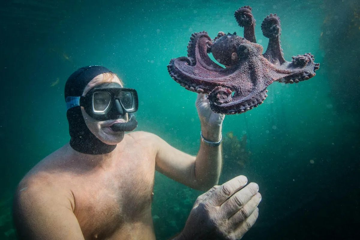 The octopus as guru: for life lessons you can turn to these animals (lessons some human leaders could use)