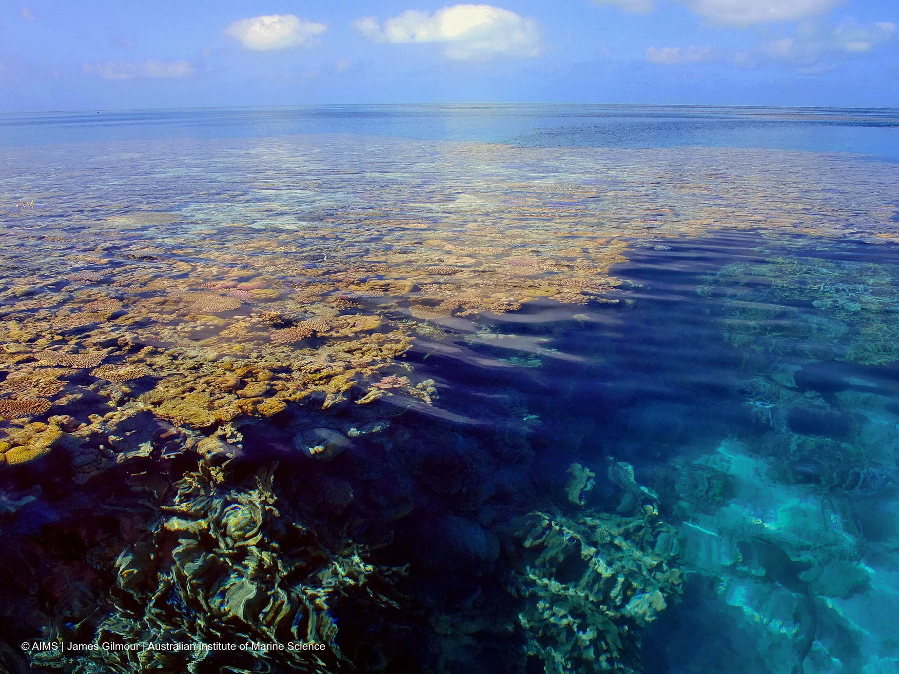 World’s coral reefs have ever-smaller windows to recover between marine heatwaves, major report warns