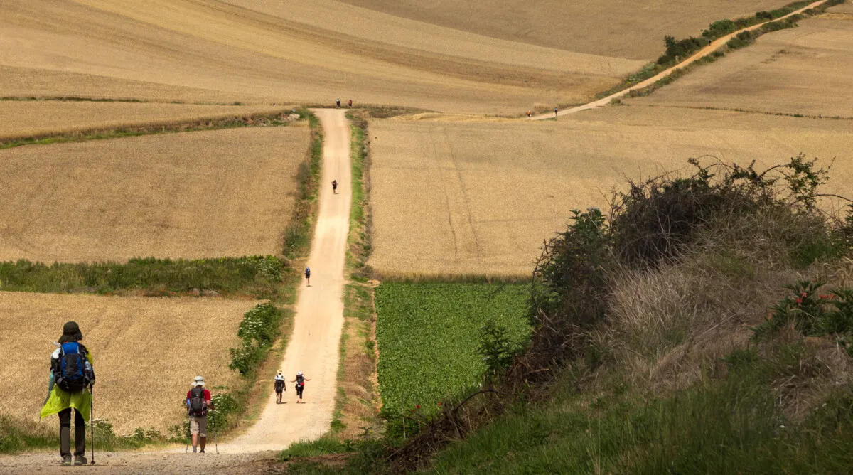 The Camino still captures the imagination — this exhibition proves it