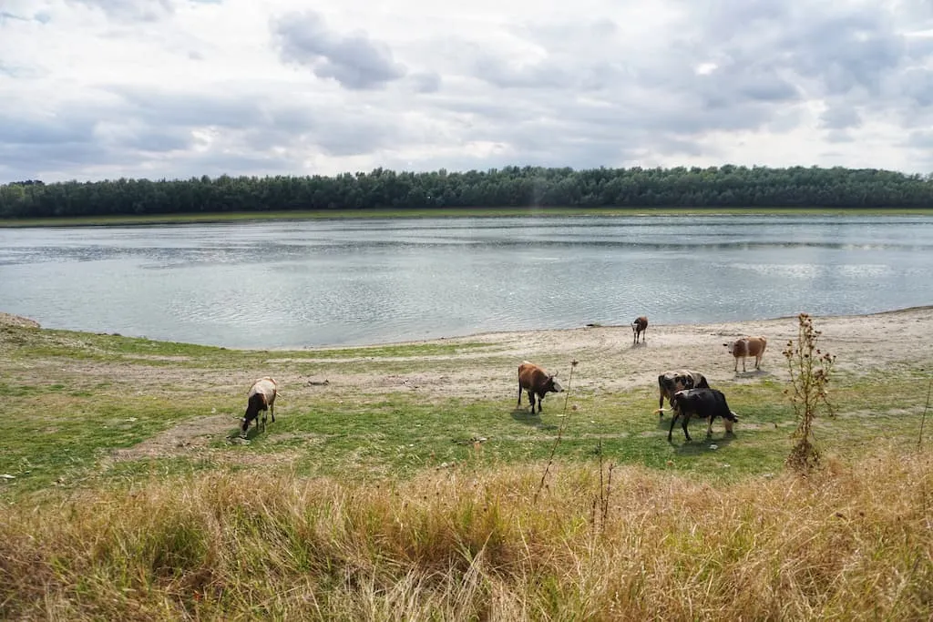Danube: at Europe's edge, the river embraces the Black Sea