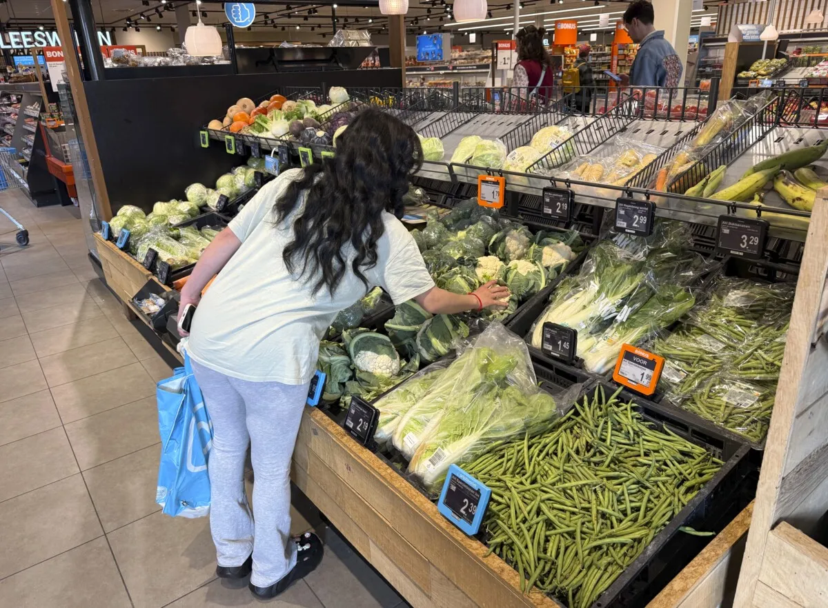 The Dutch economy holds up while households are set to lose ground next year