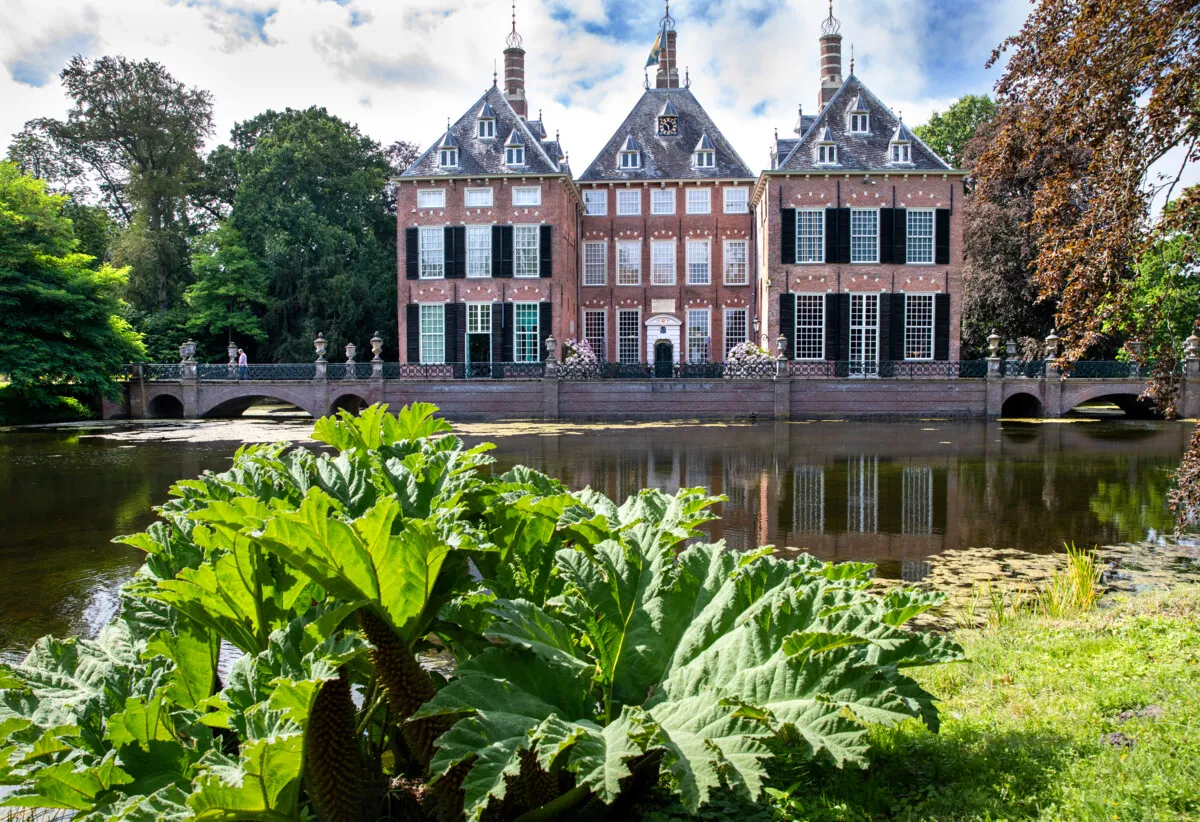 Enterprising estate in the green: Castle Duivenvoorde