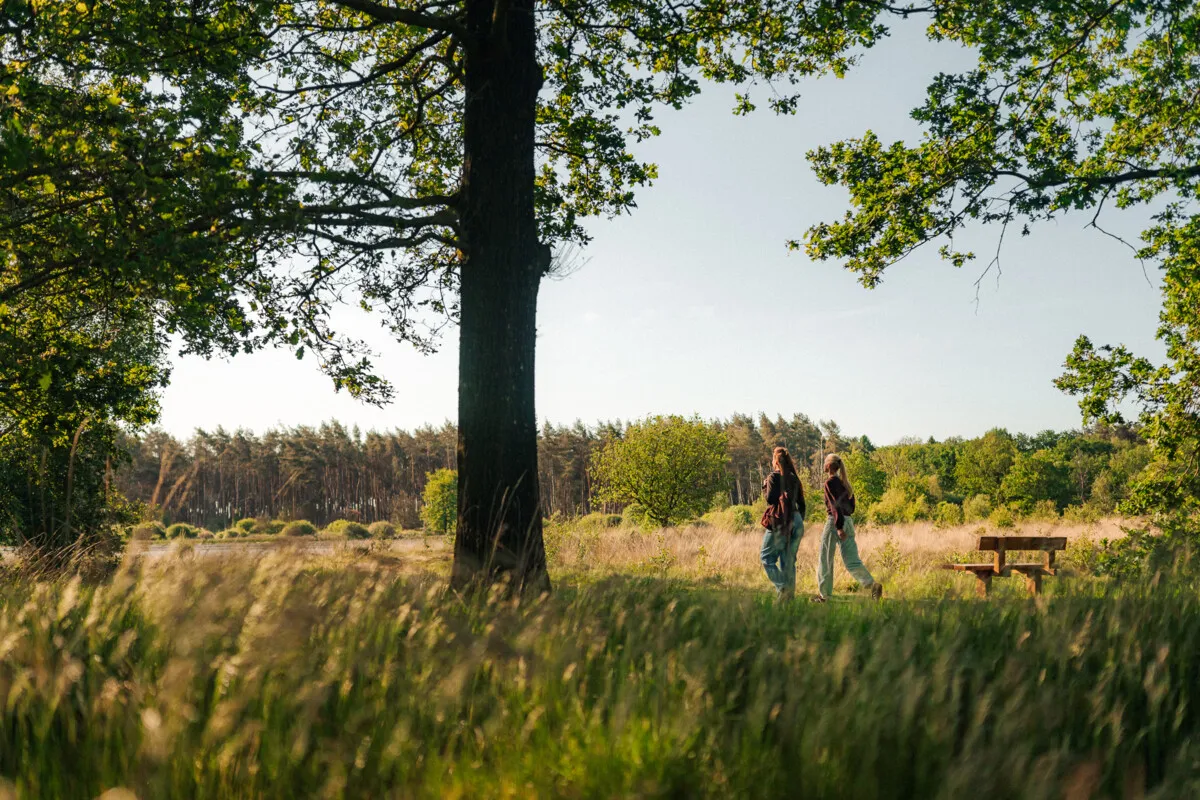 Skip trendy walking dates and pedometers — how to truly reconnect with nature